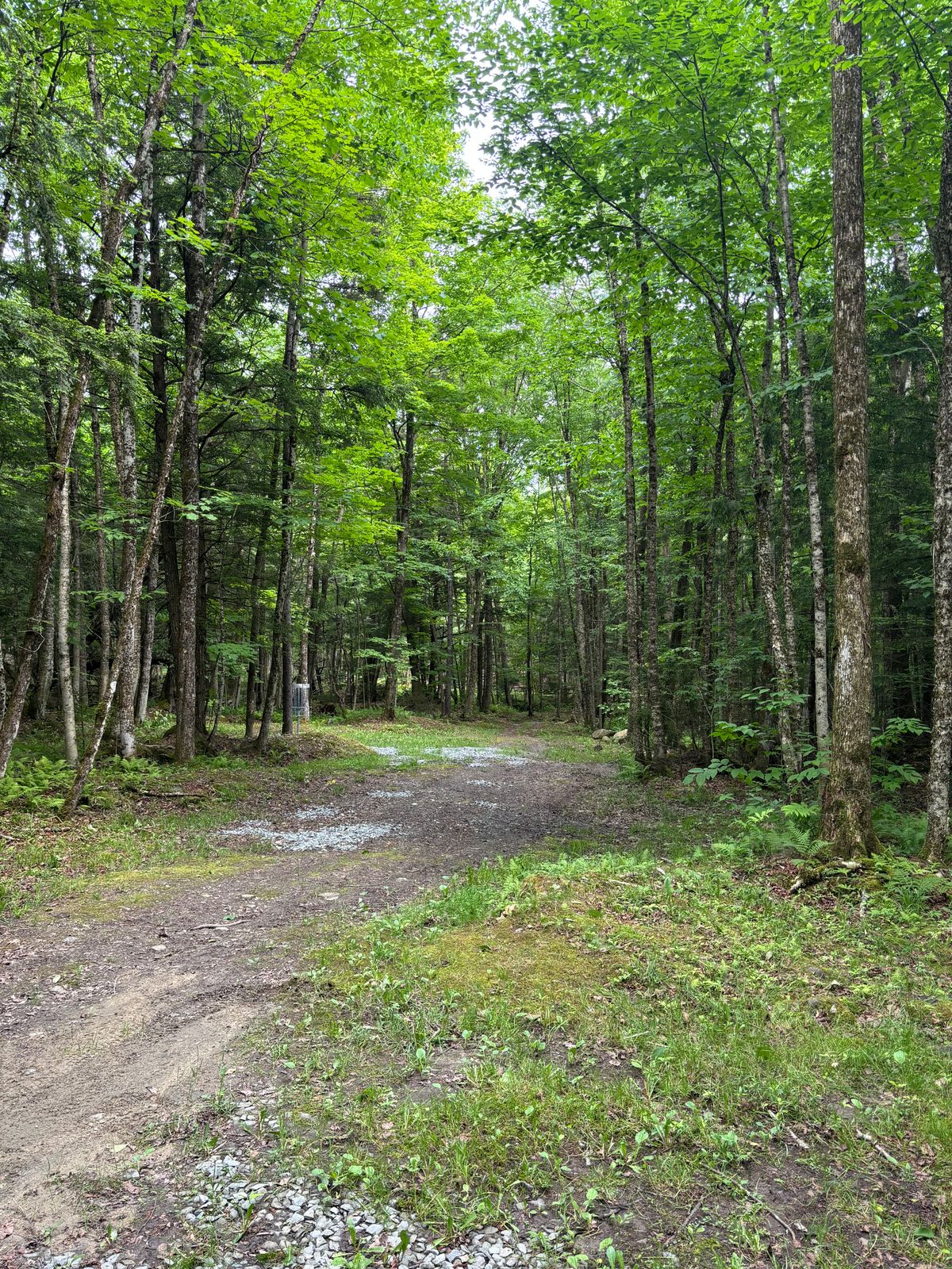 Hole 3 fairway