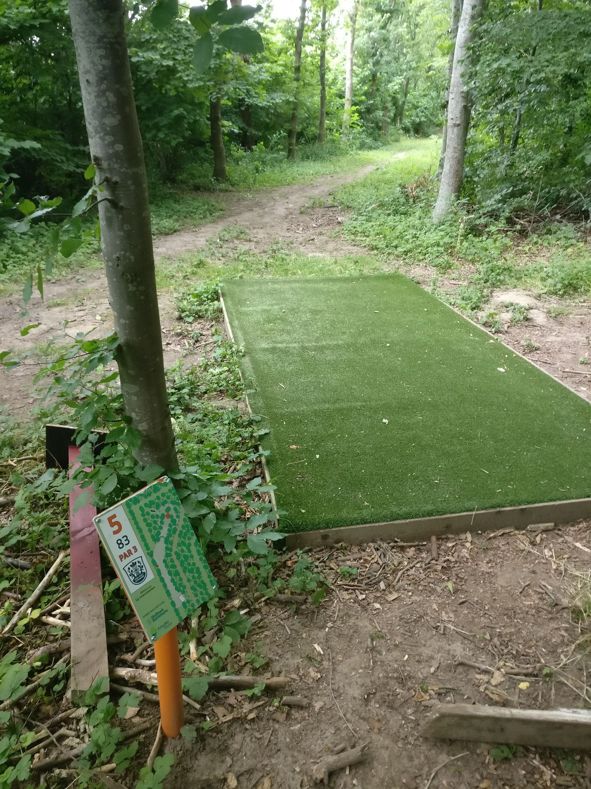 Hole 5