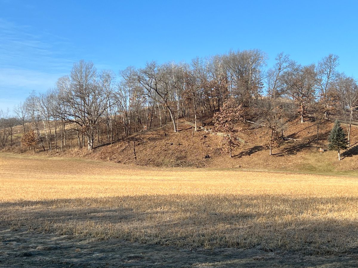 Classic course home stretch from across the field. There are 3 baskets in this picture! 1/9/25