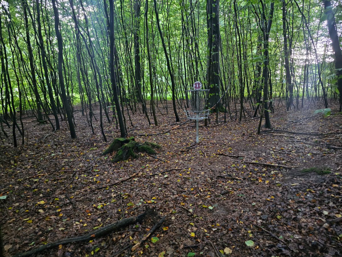 Hole 5
