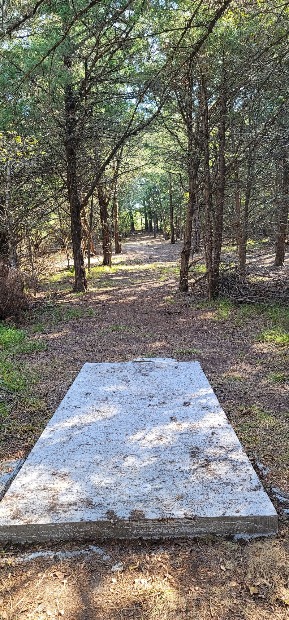 Hole 16 short tee