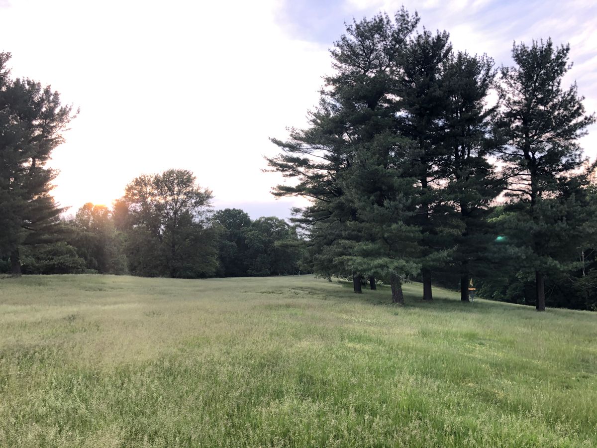 Hole 6.