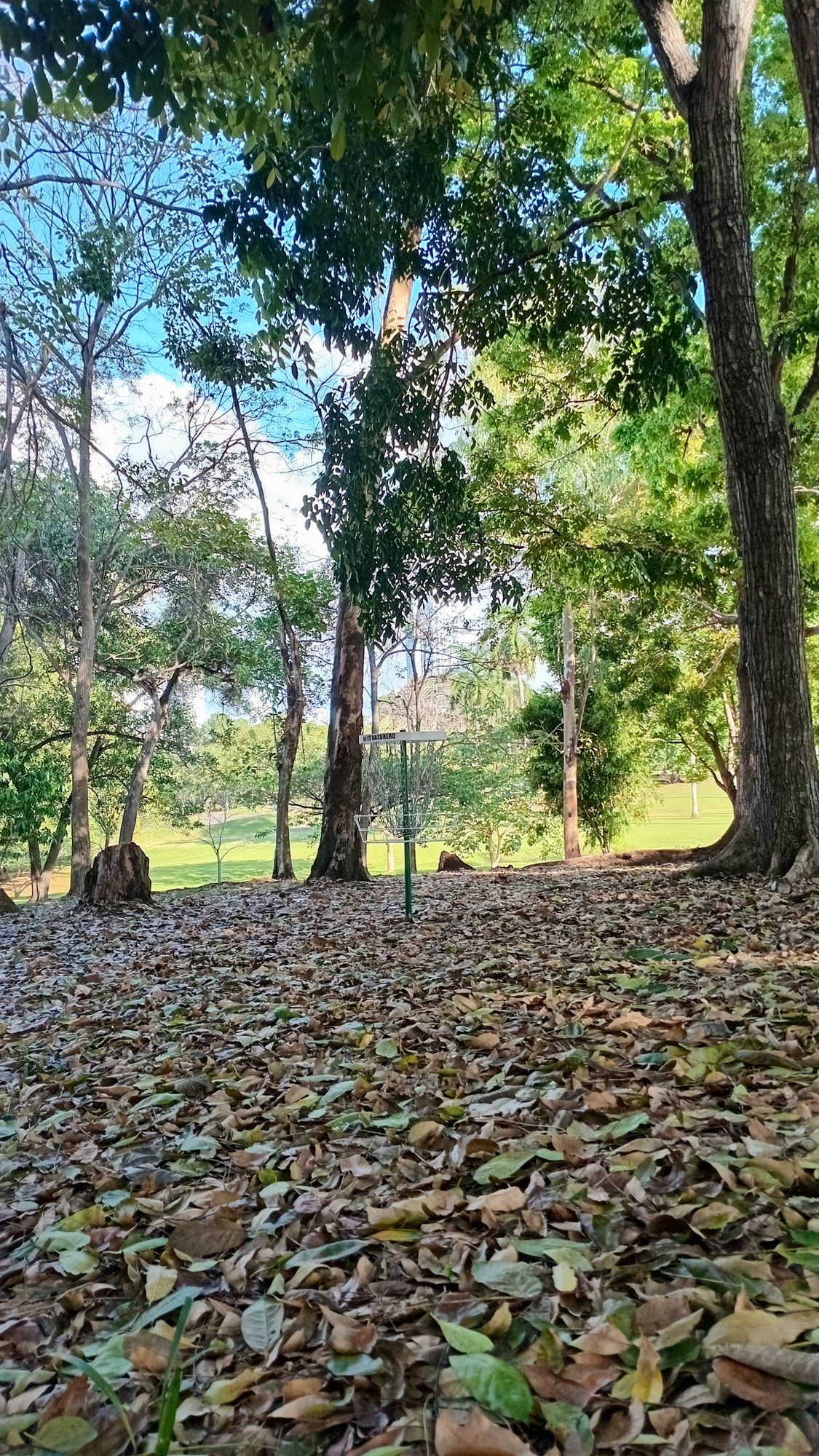 Parque Omar DG Course
Hole 3 Target