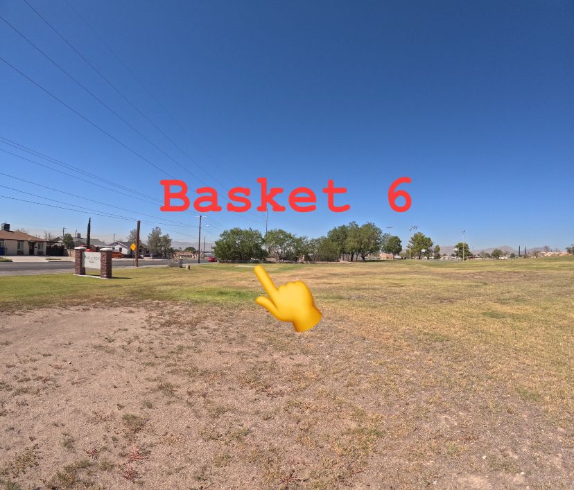 Basket 6