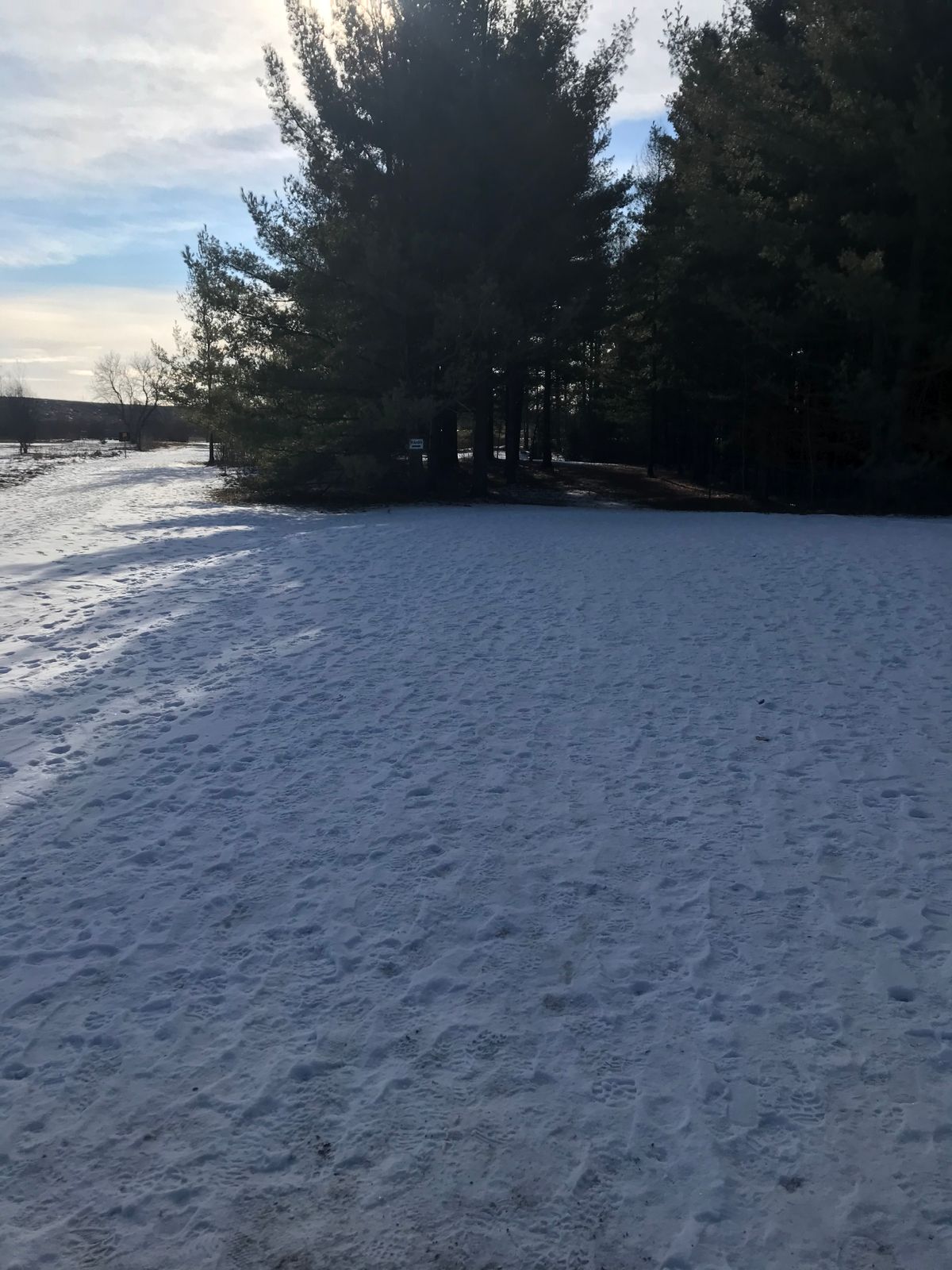 Hole 8 tee view