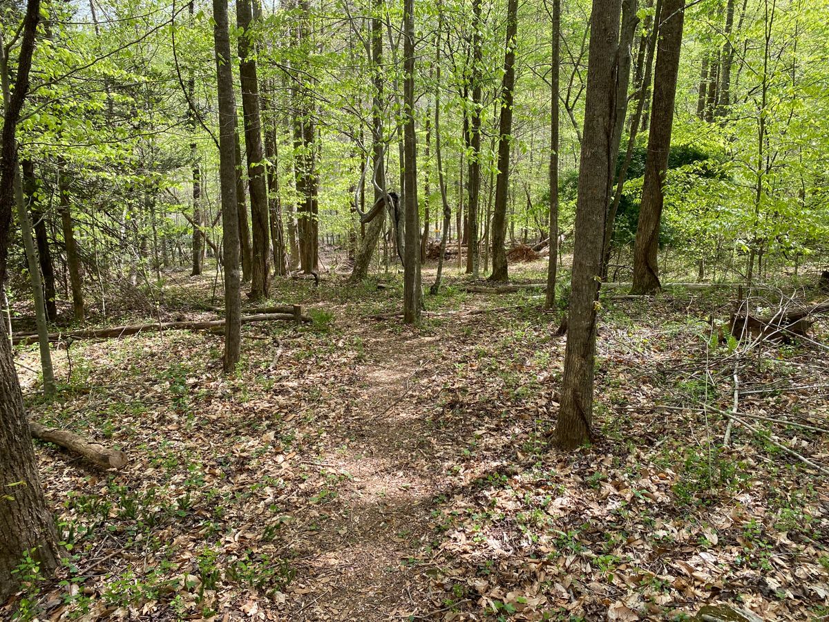 Hole 14. From top of hill.