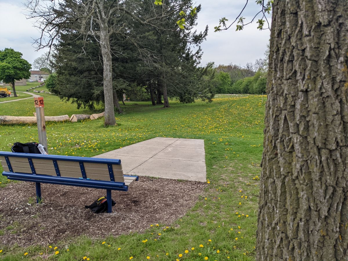 Hole 12 tee pad
