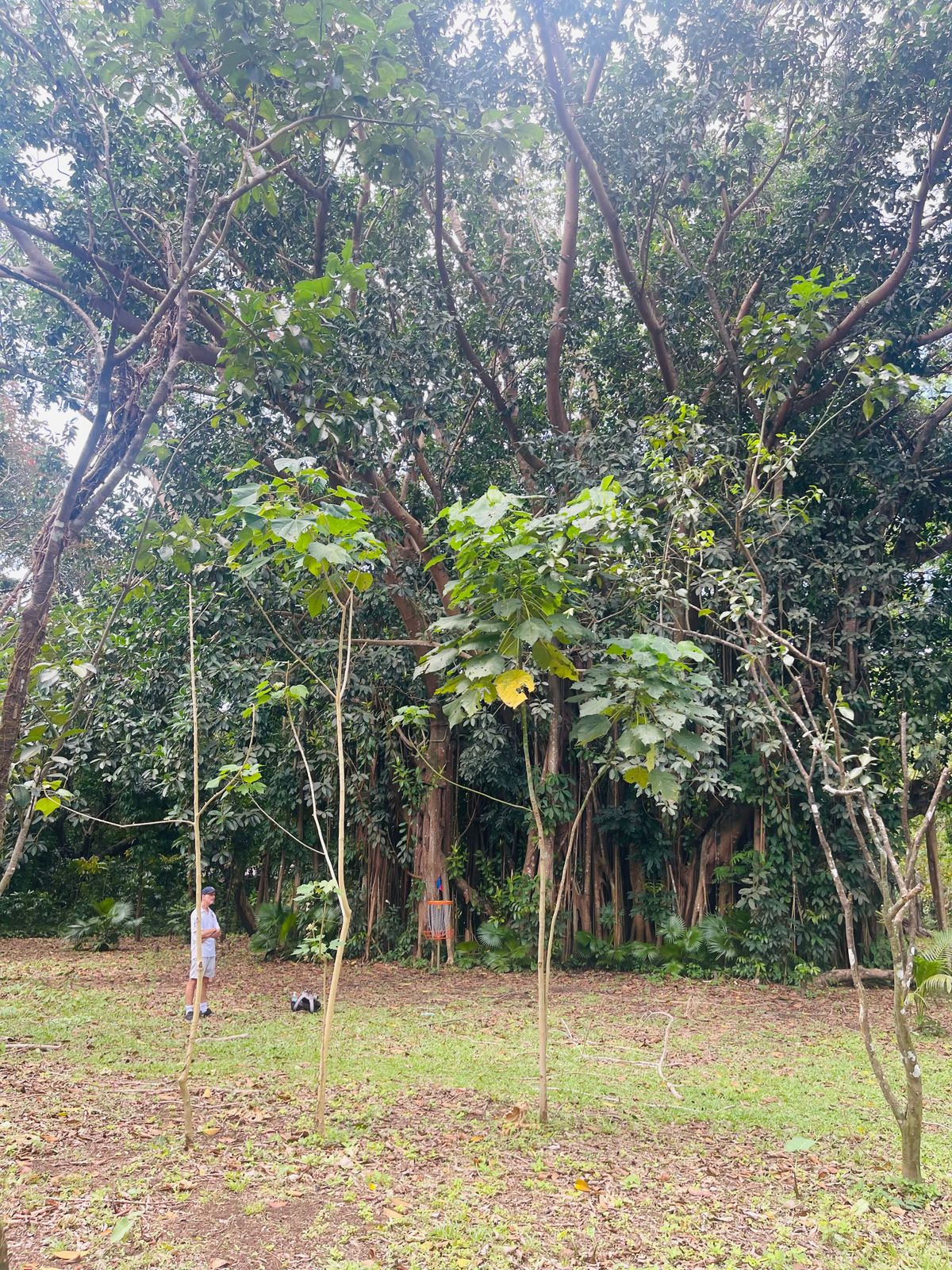 Hole 2