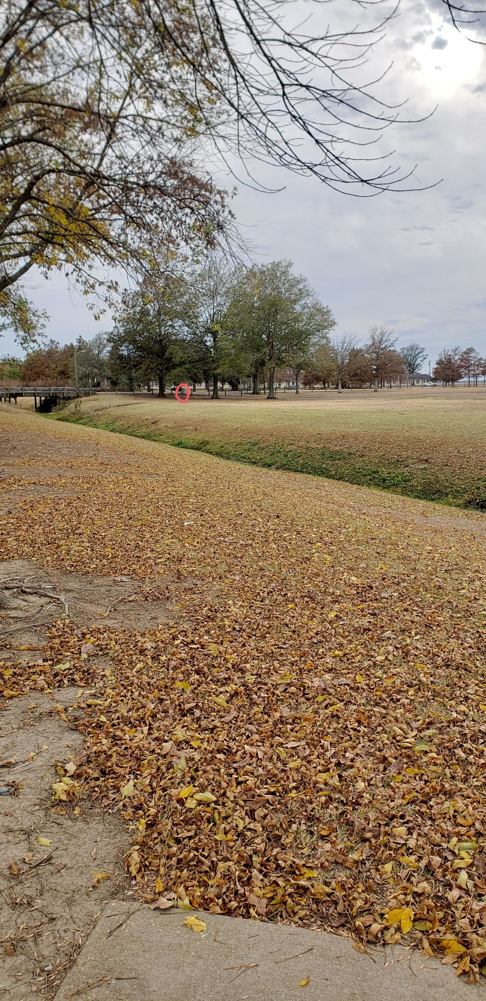 Hole 7 - Main basket location