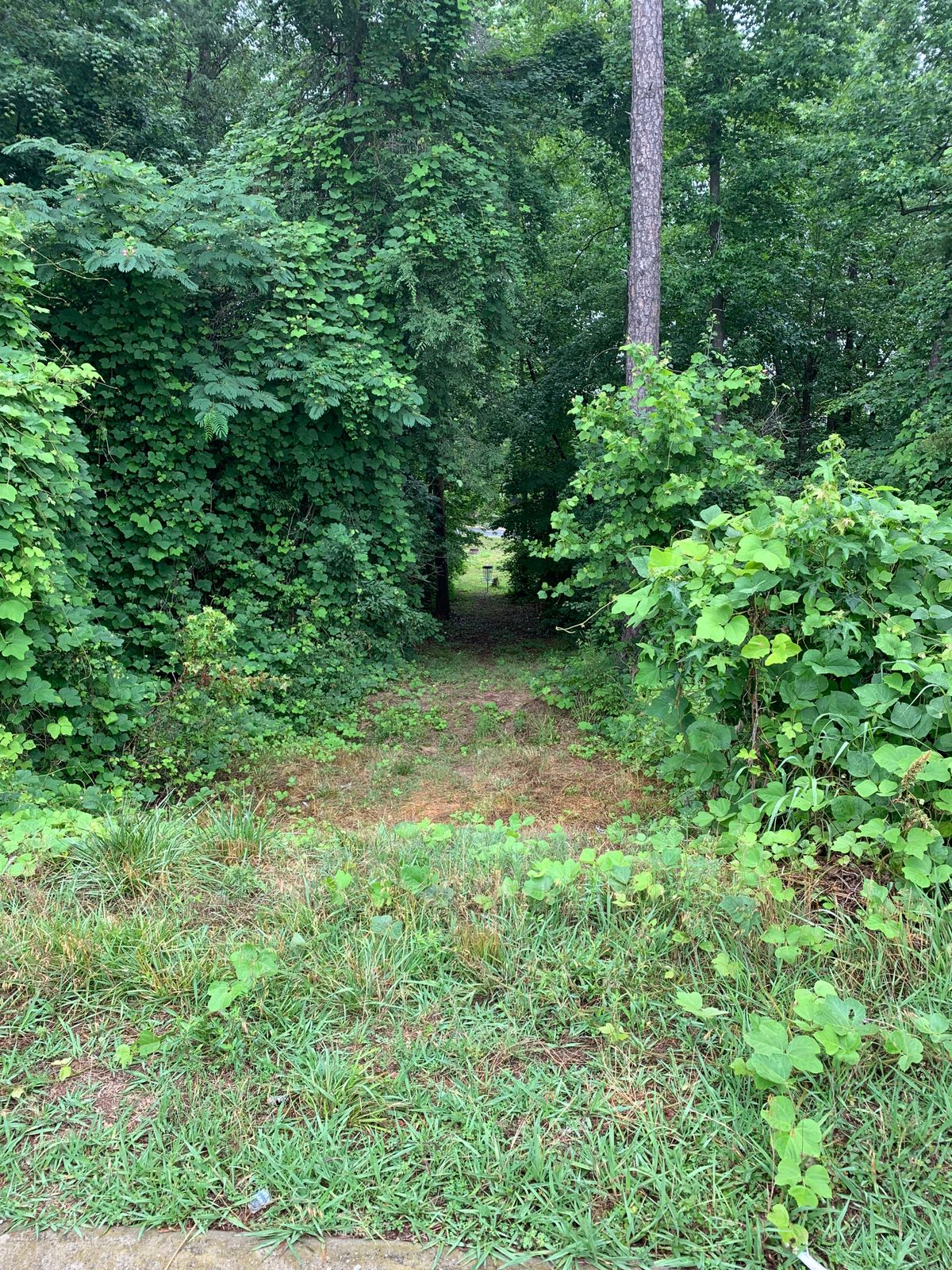 Hole 2