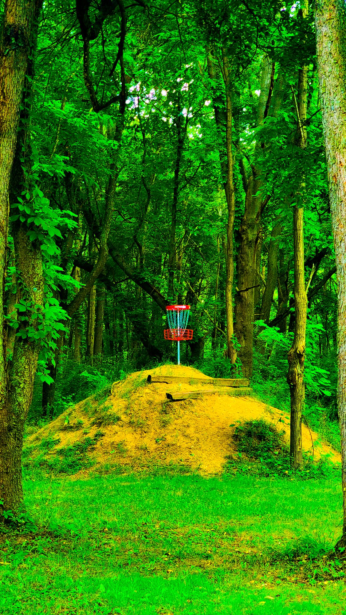 Hole 13 basket on the mound! Love and hate relationship with this specific spot.