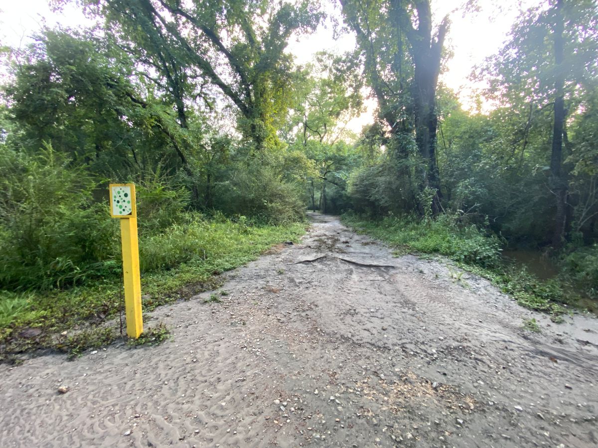 Hole 5