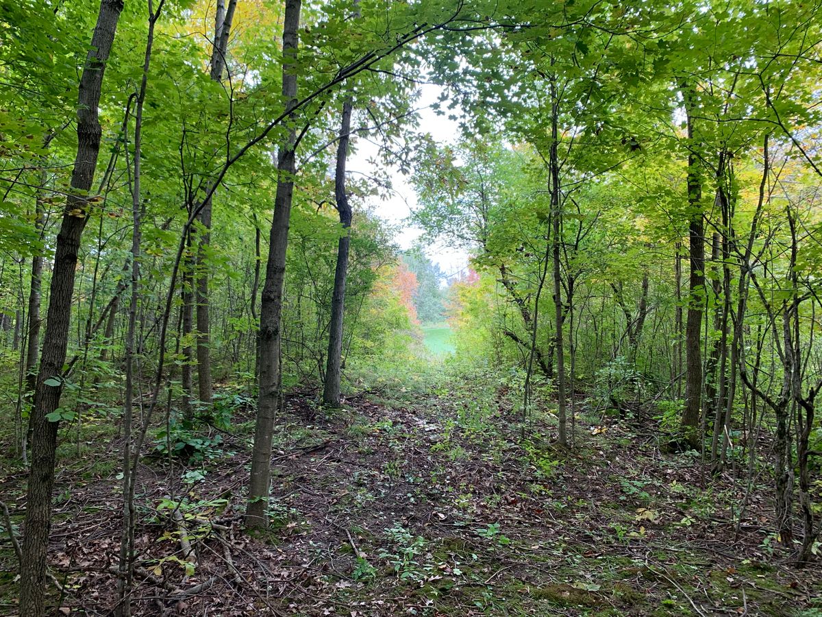 Hole 13 - Long Tee