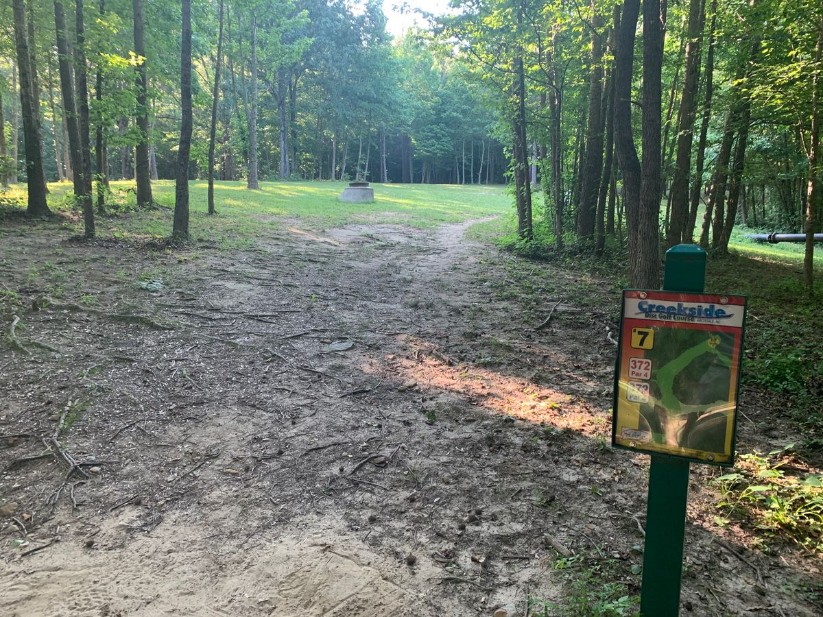 Hole 7