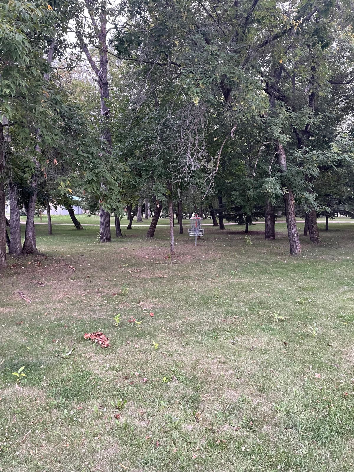 Hole 7 Approach