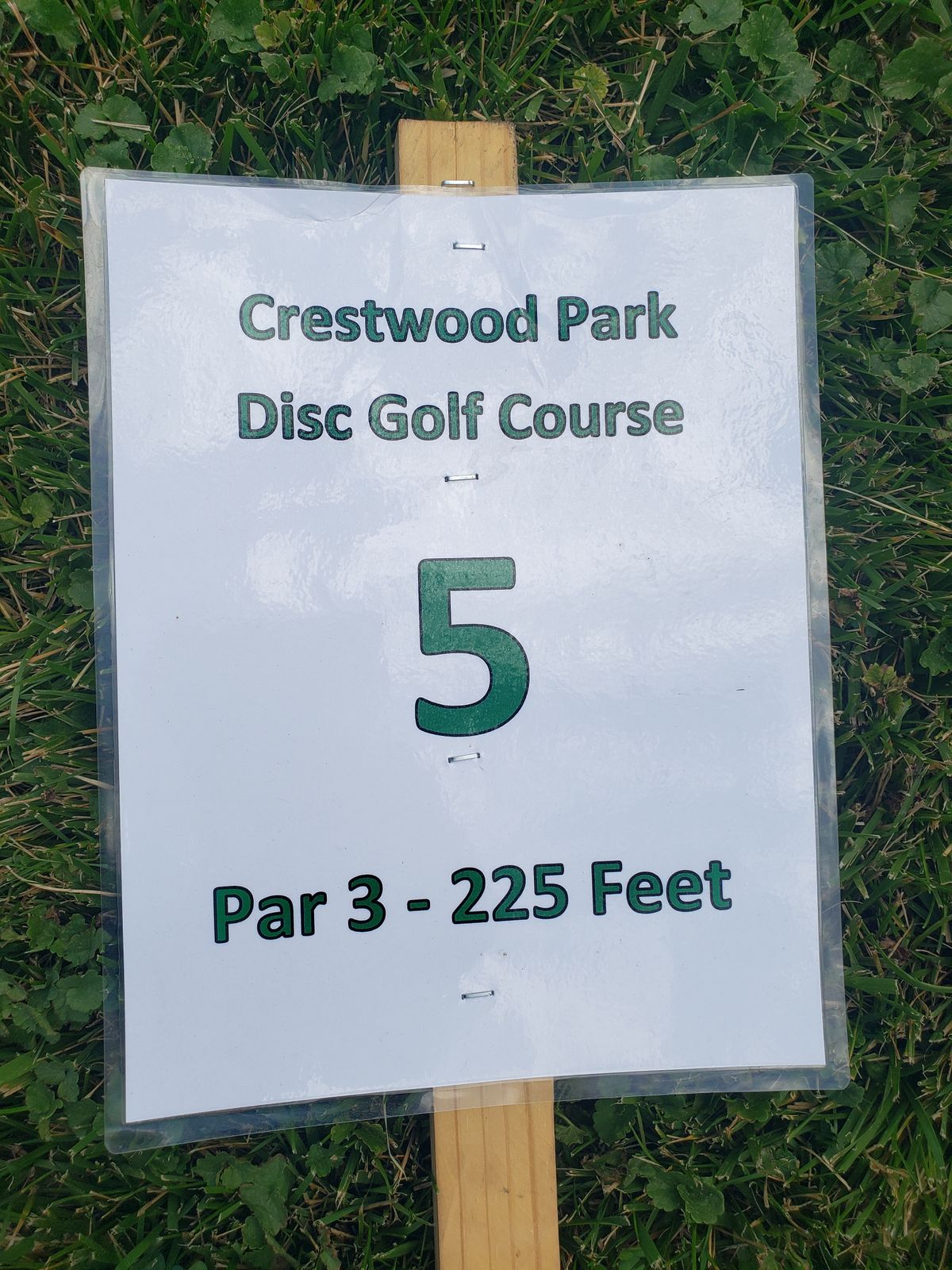 Hole 5 Crestwood park disc golf course