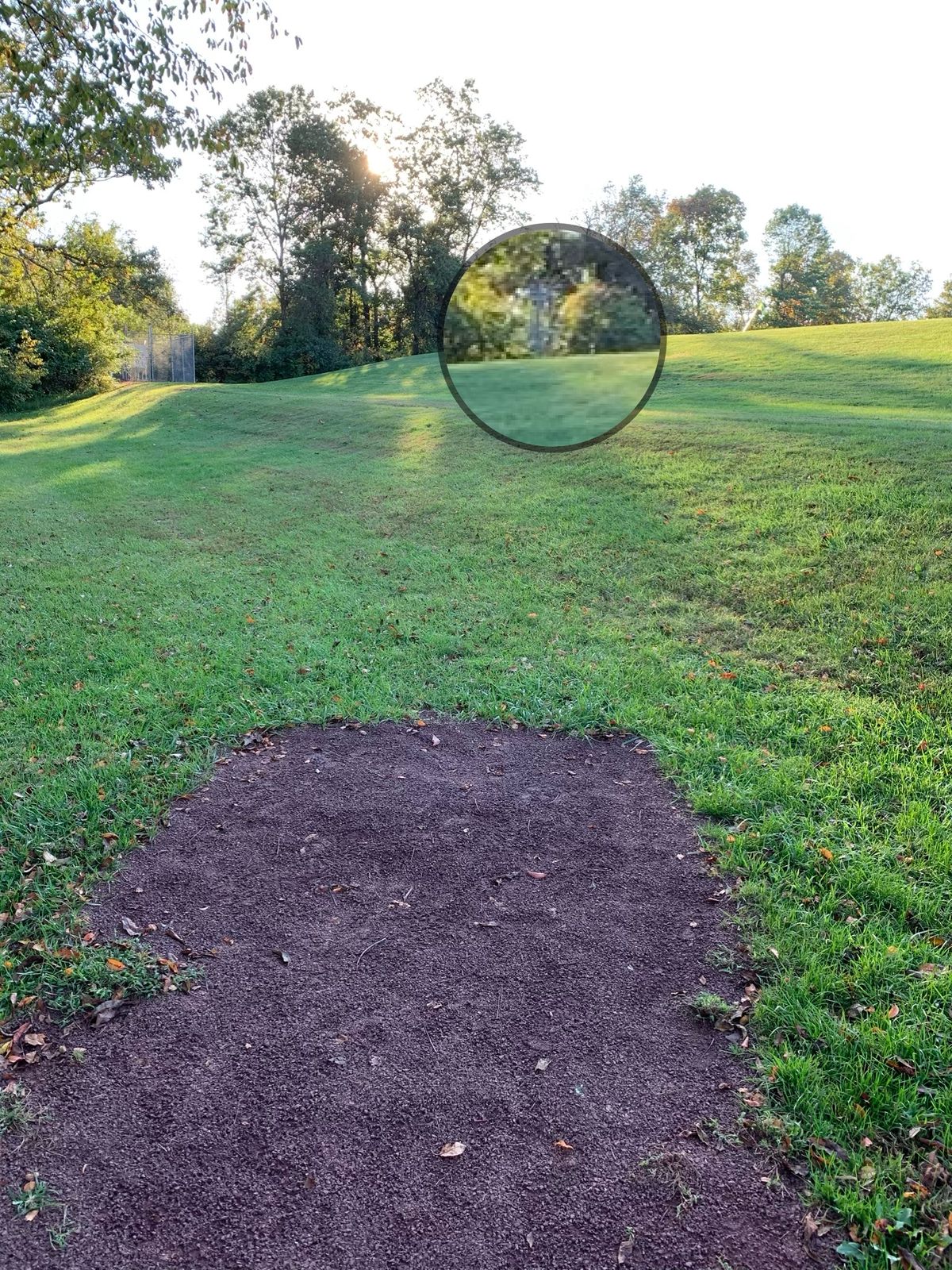 Tee box #2