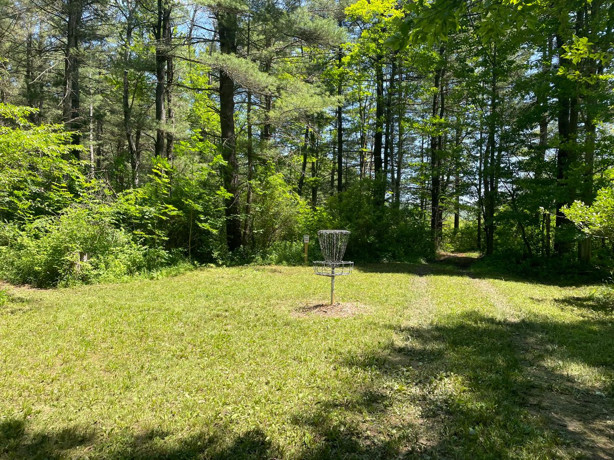 Hole 4, basket and green.