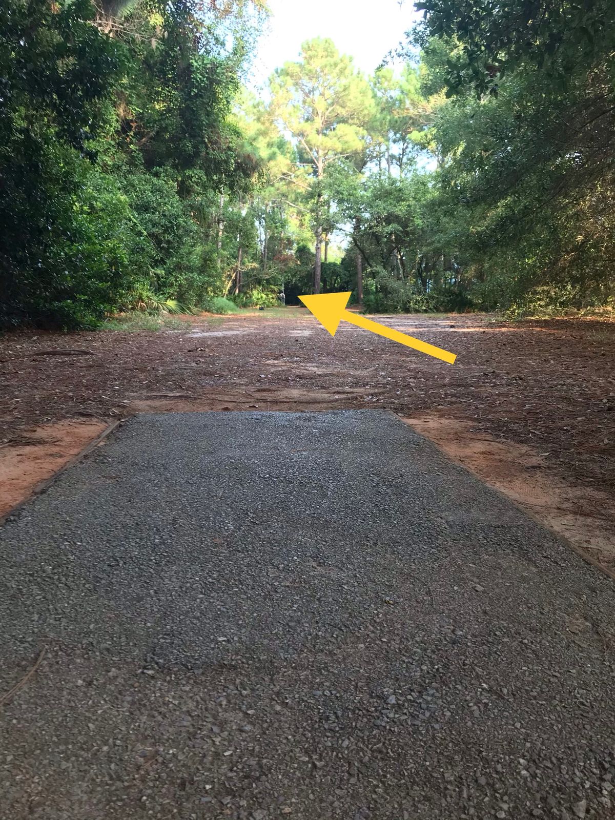 Amateur tee, 8th hole