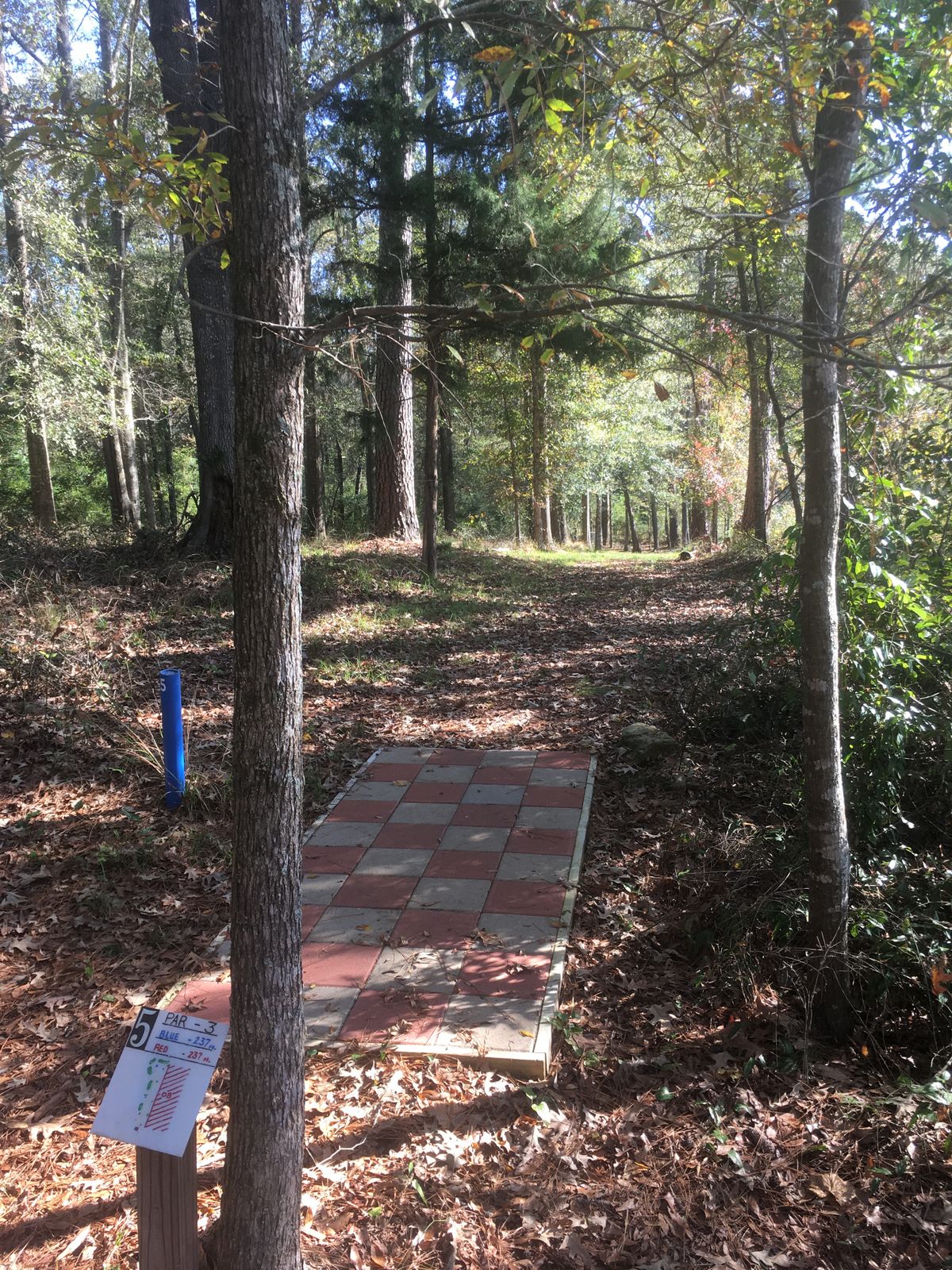 Hole 5 Tee