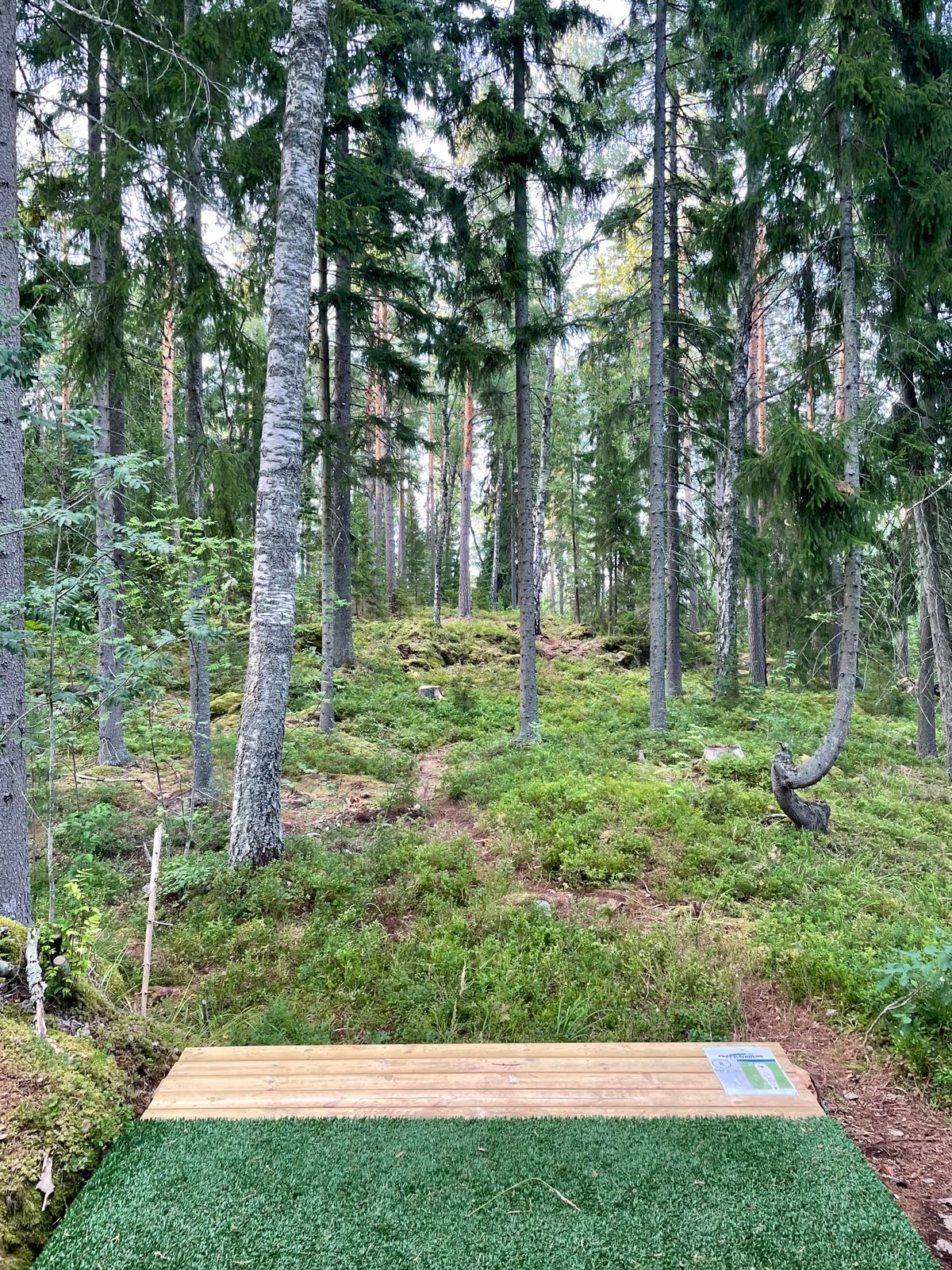 Väylä 8