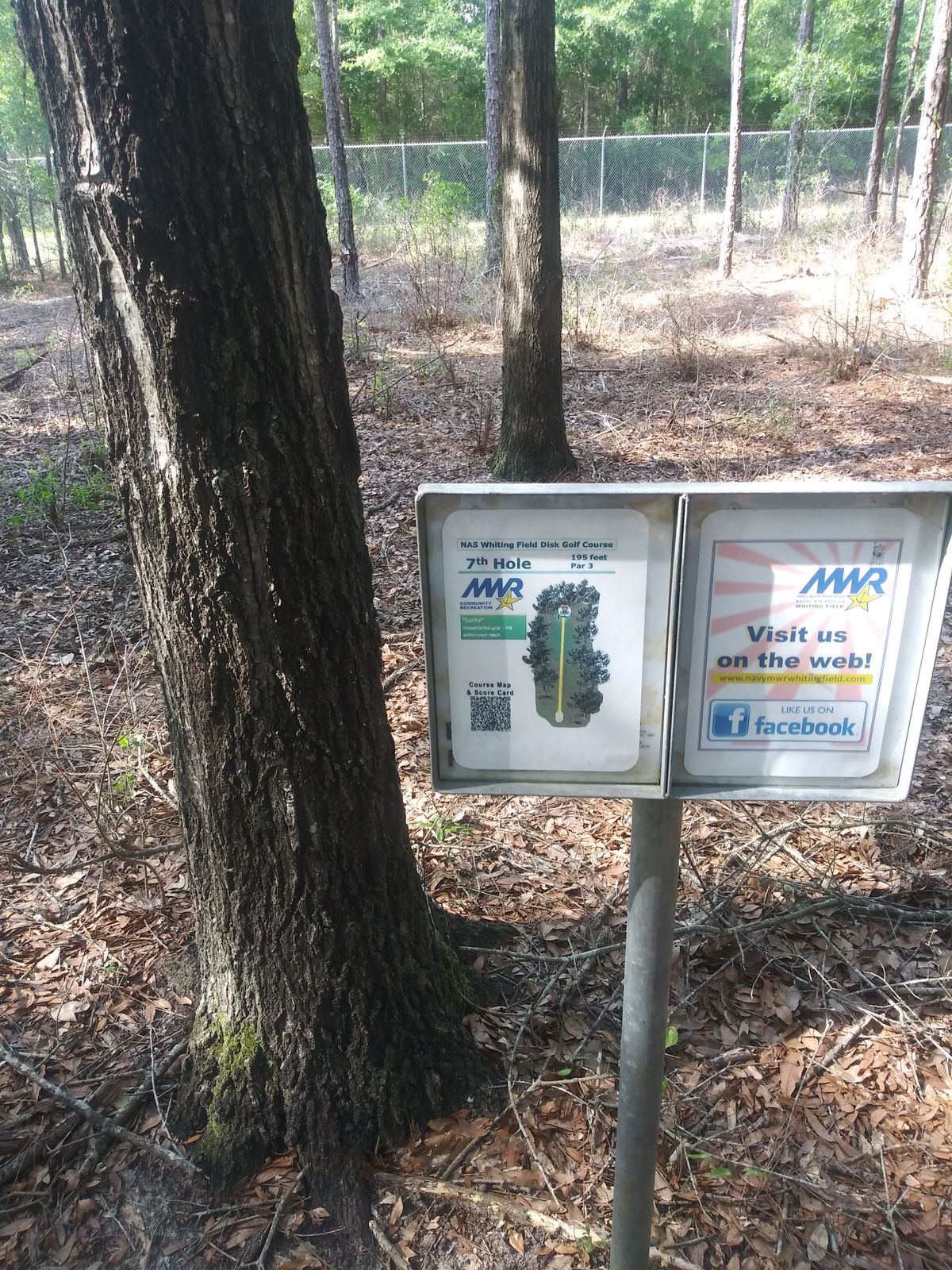 7th tee and basket