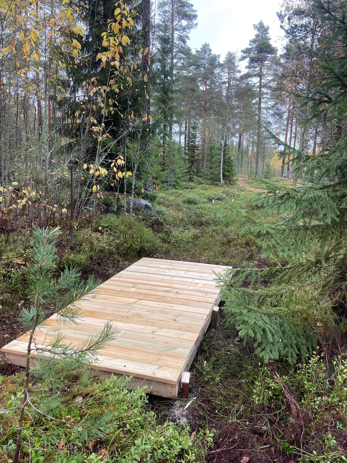 Hål 3 innan konstgräset var pålagd