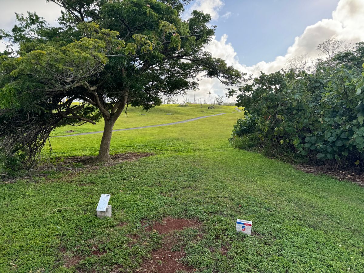 Combined Tee 5