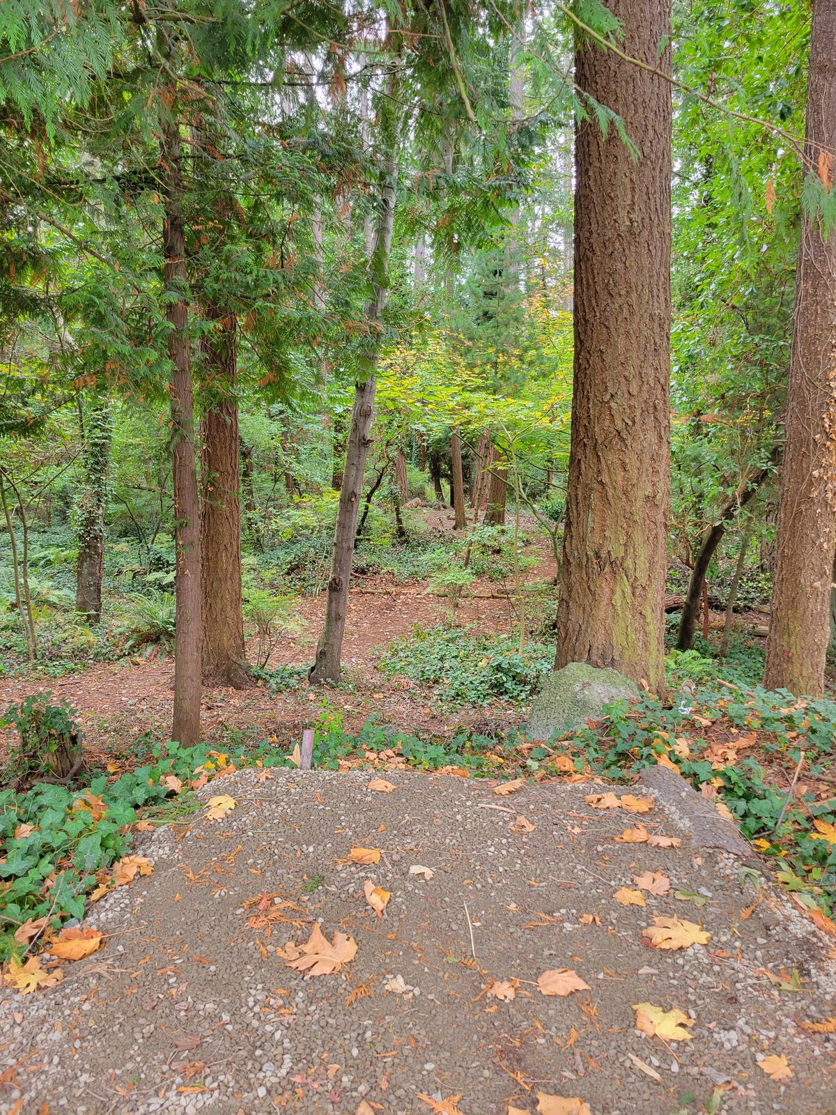 Hole 3-NE corner of park