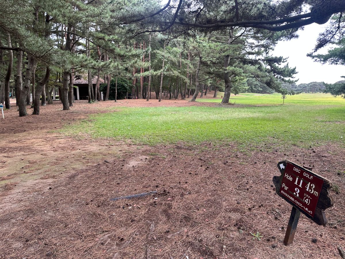 Hole 11