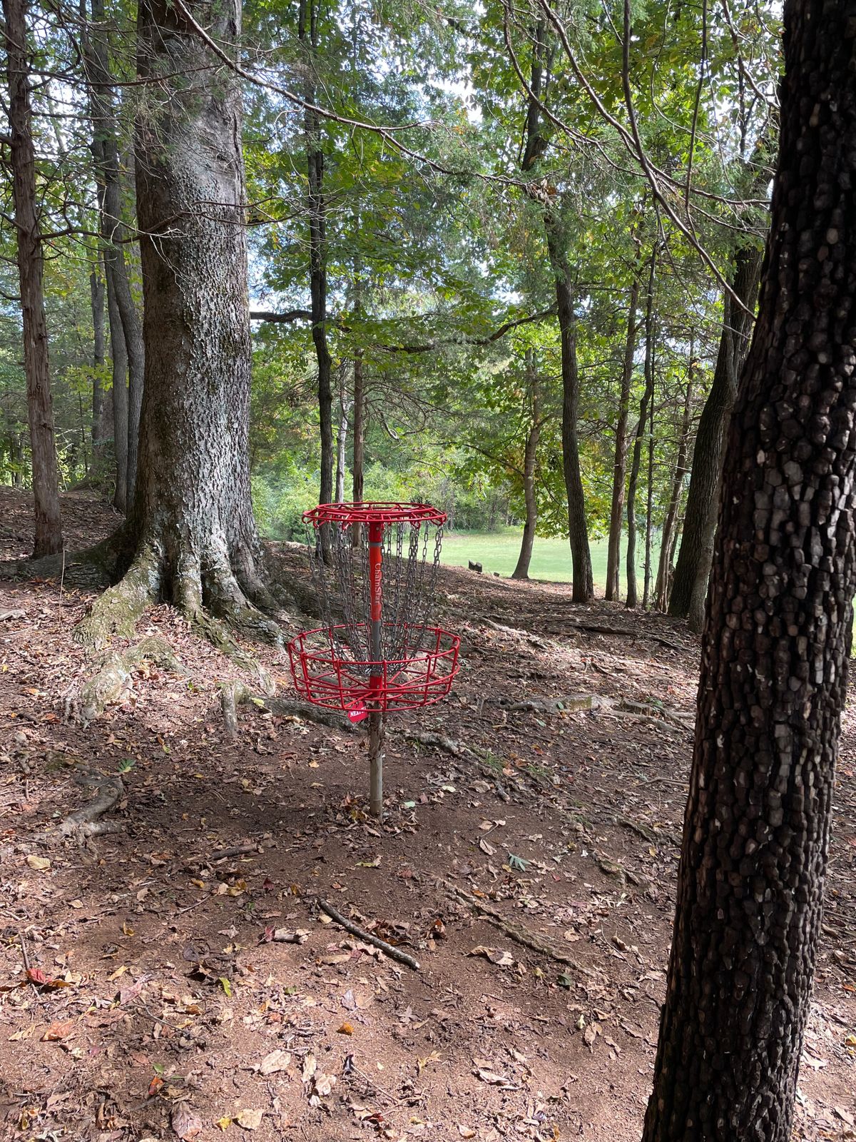 Red basket 17 looking back at fairway