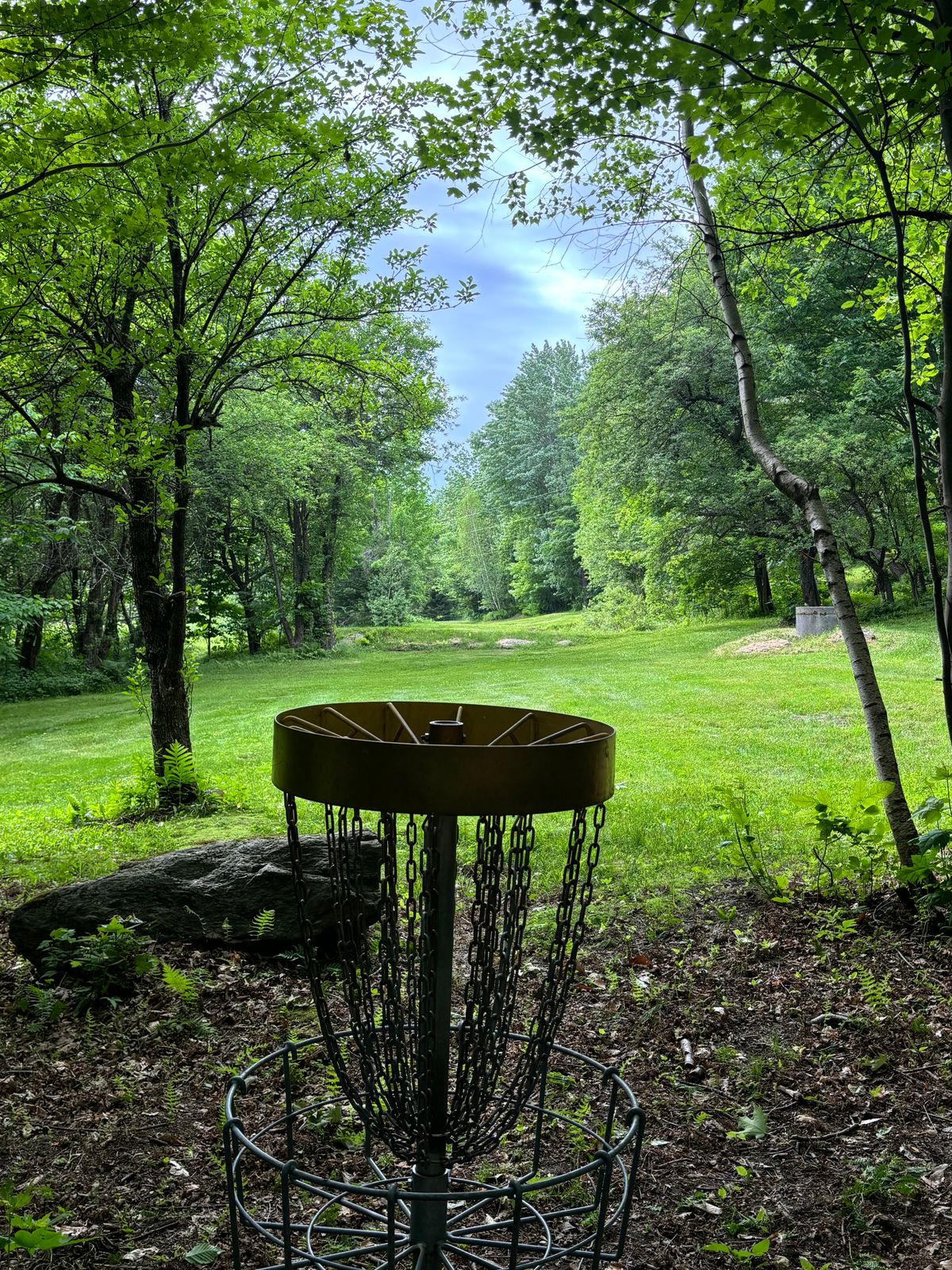 Hole 18 gold