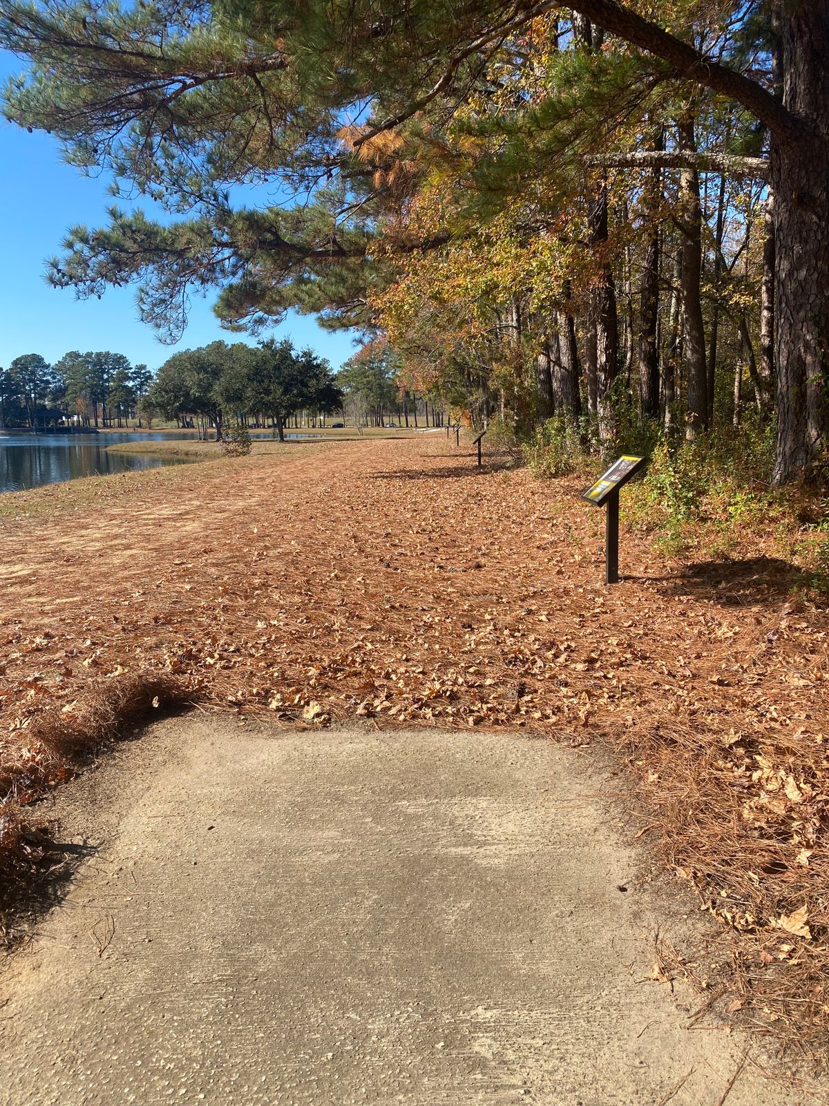 Hole 14 Green/White