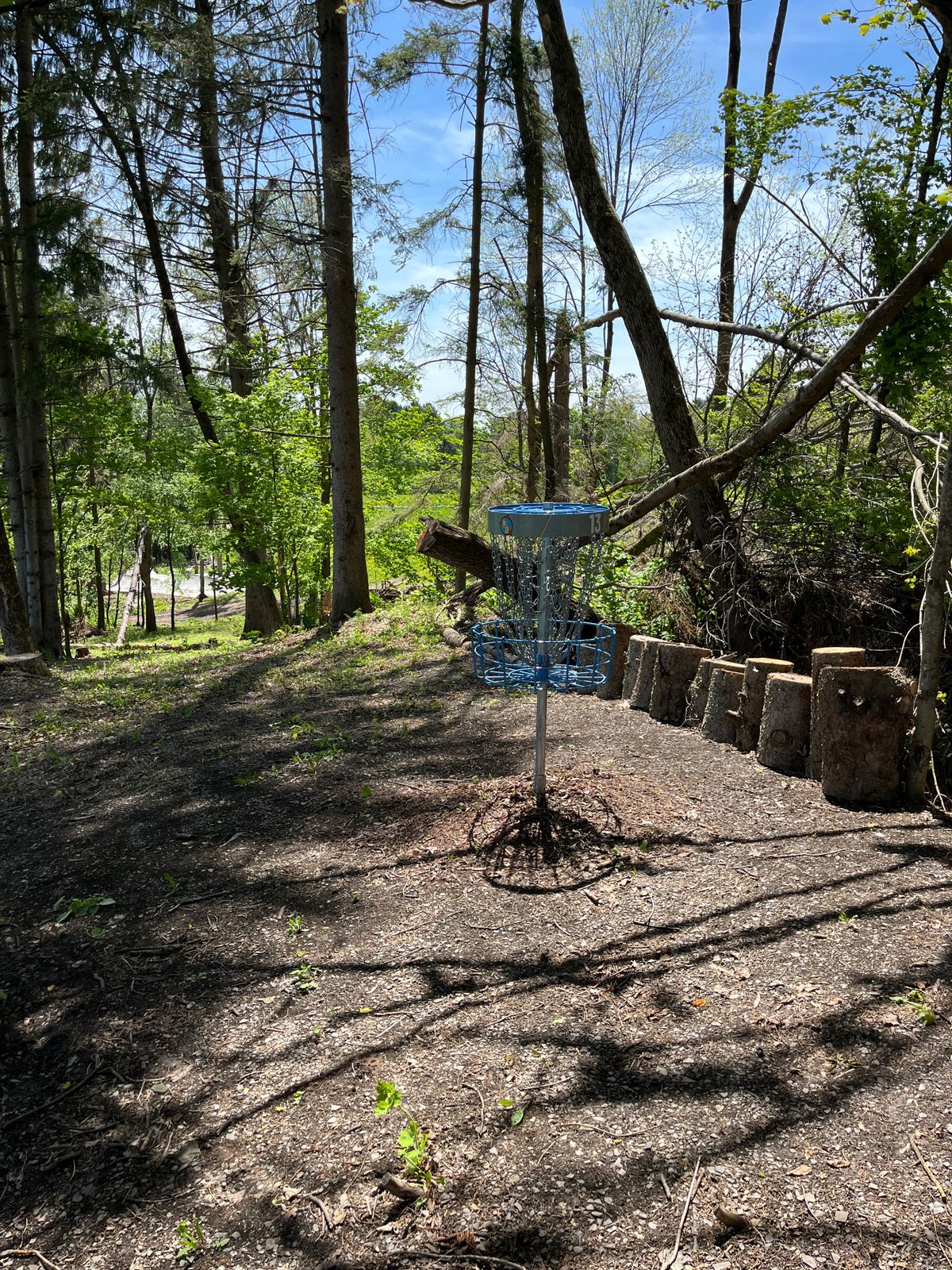 New hole 13 green