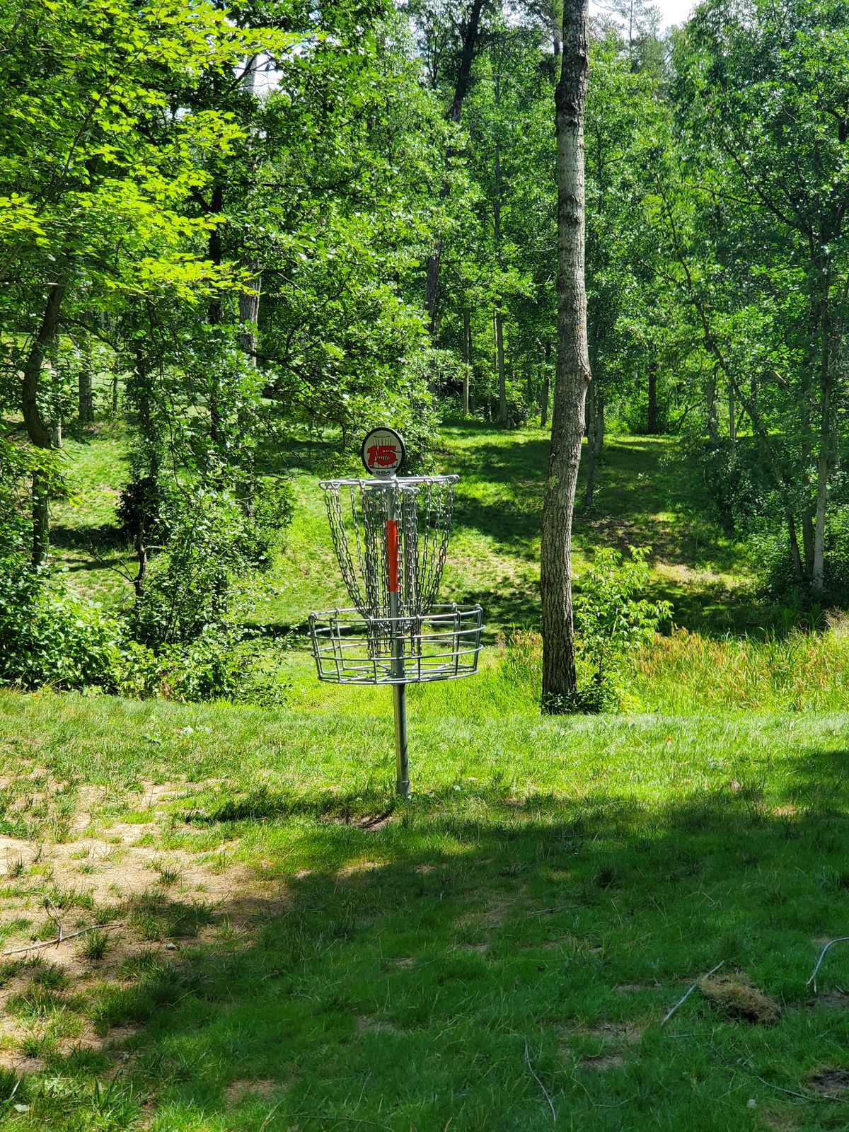 Hole 15