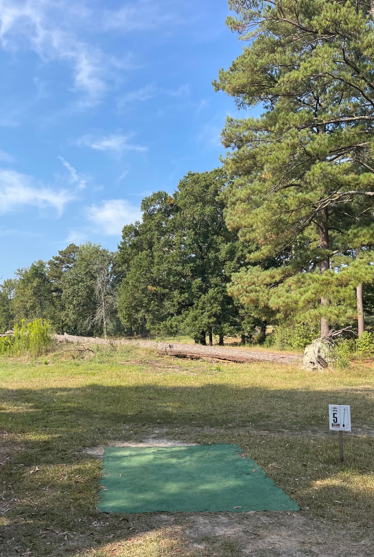 Hole 5