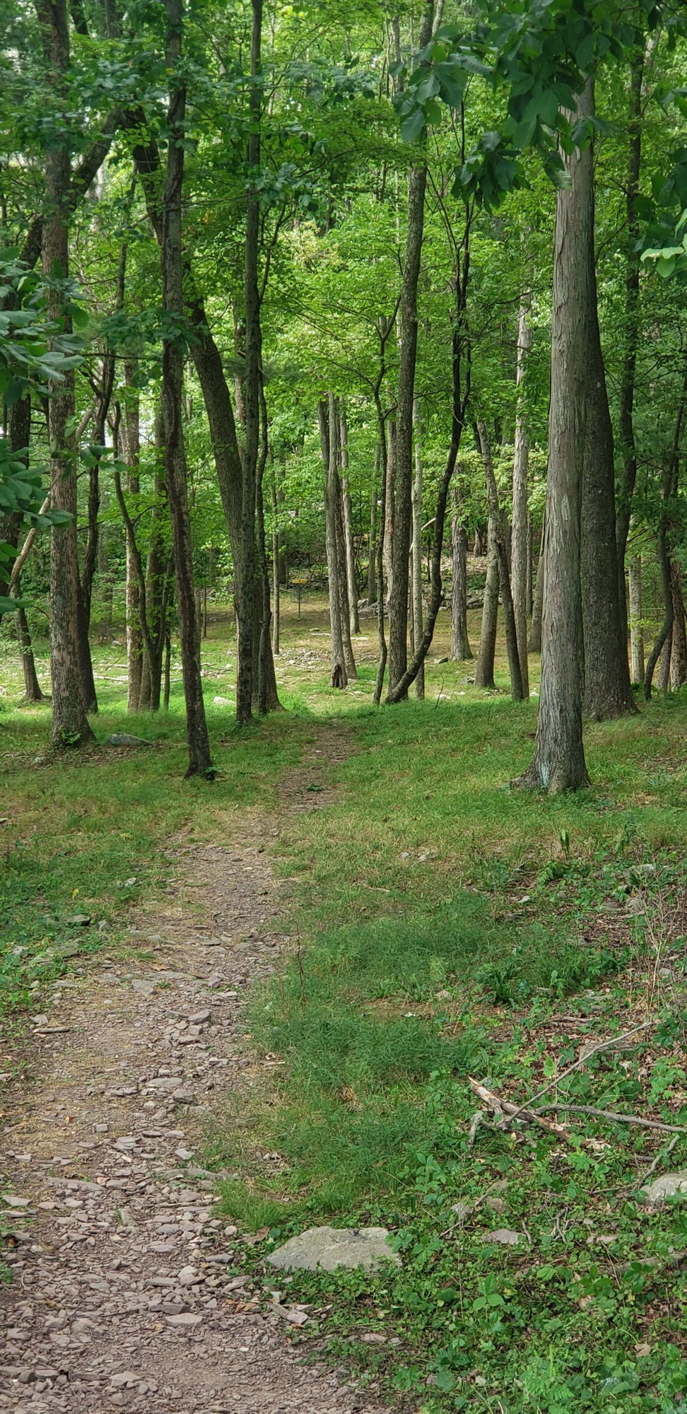 Hole 1