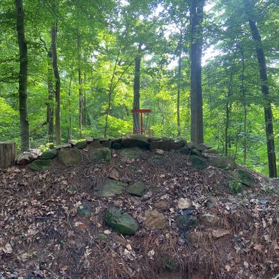 Tricky basket by the vortex of Hole 15