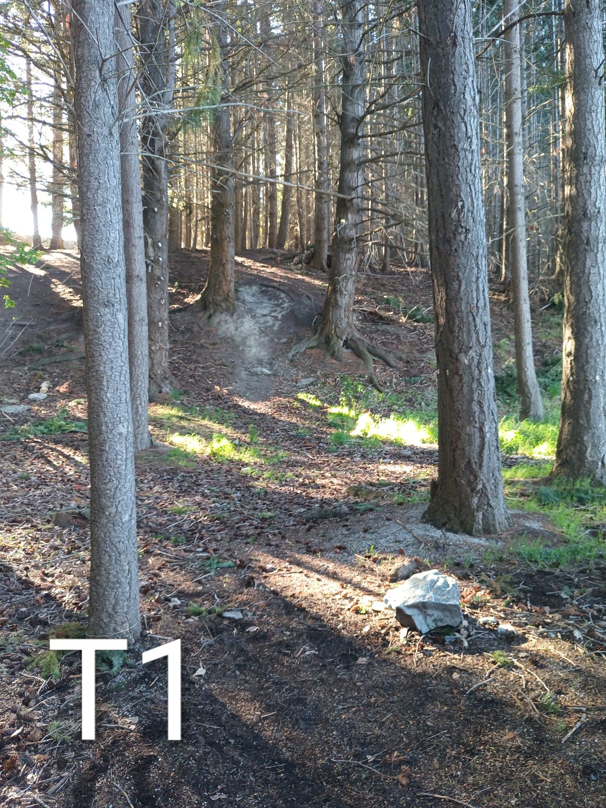 45m throw up the hill finishing a few metres to the right