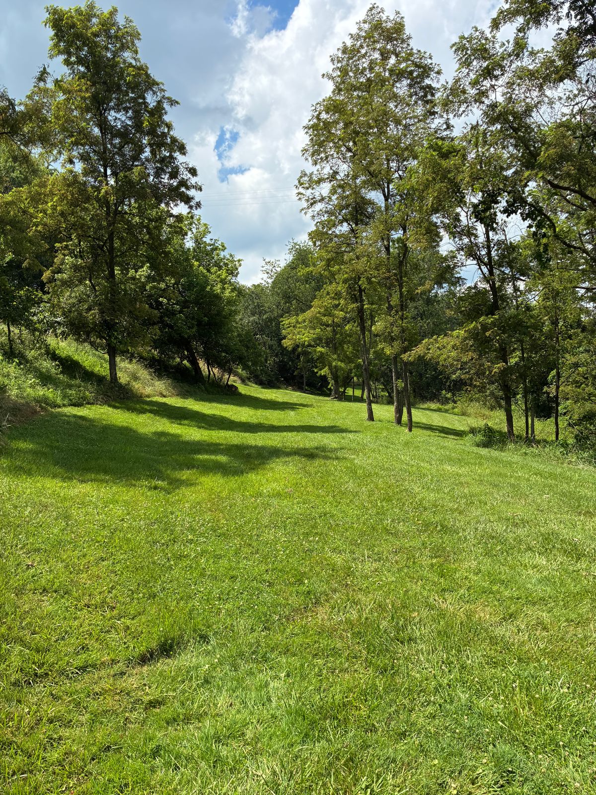 #5 Tee box.