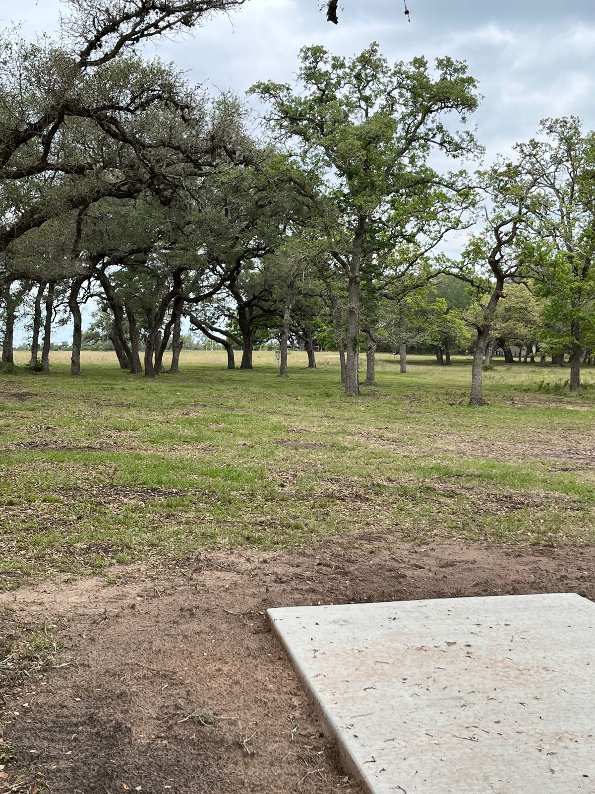 Hole 8 - all right-hand turn