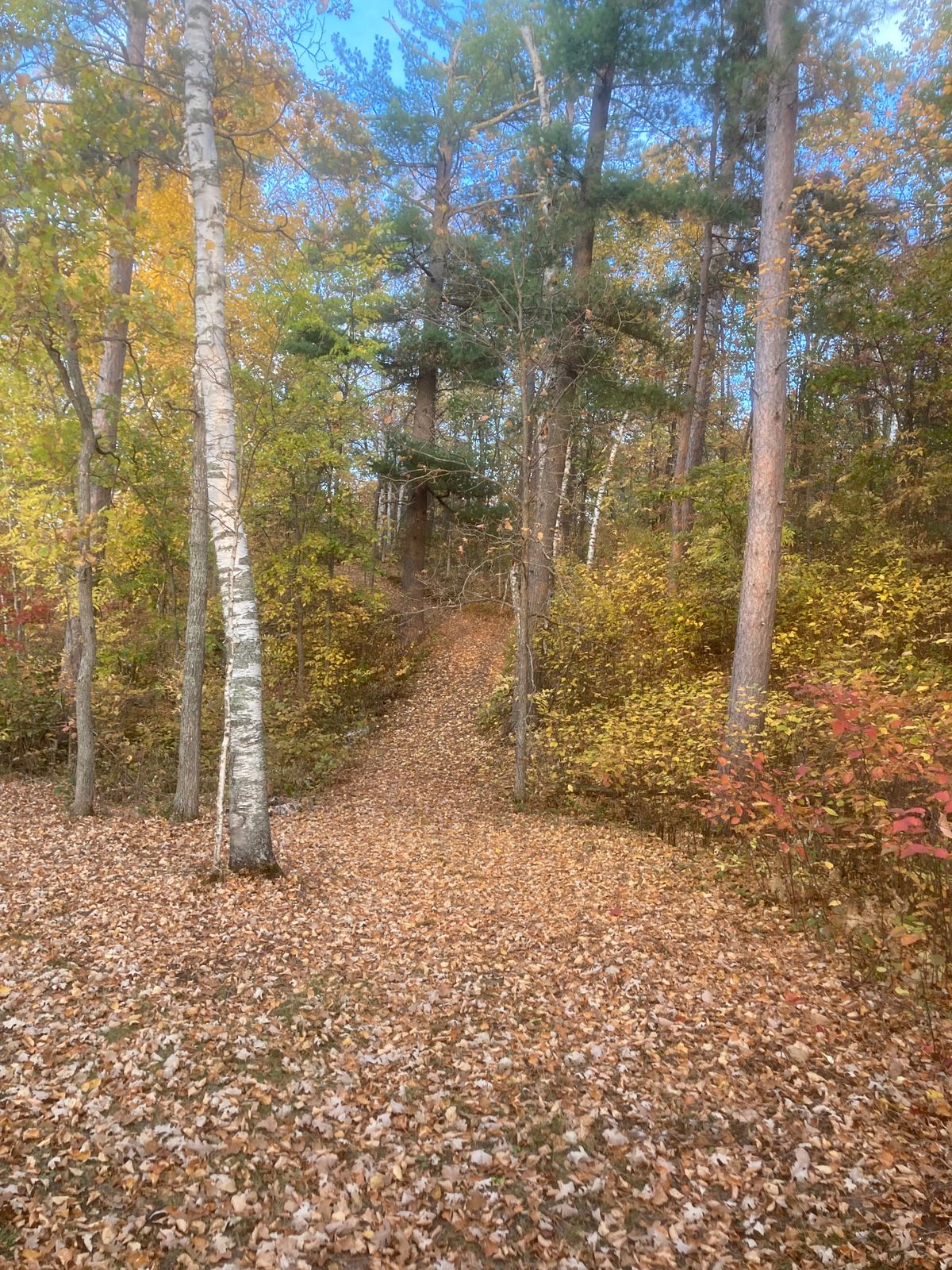 Hole 9 Tee and fairway