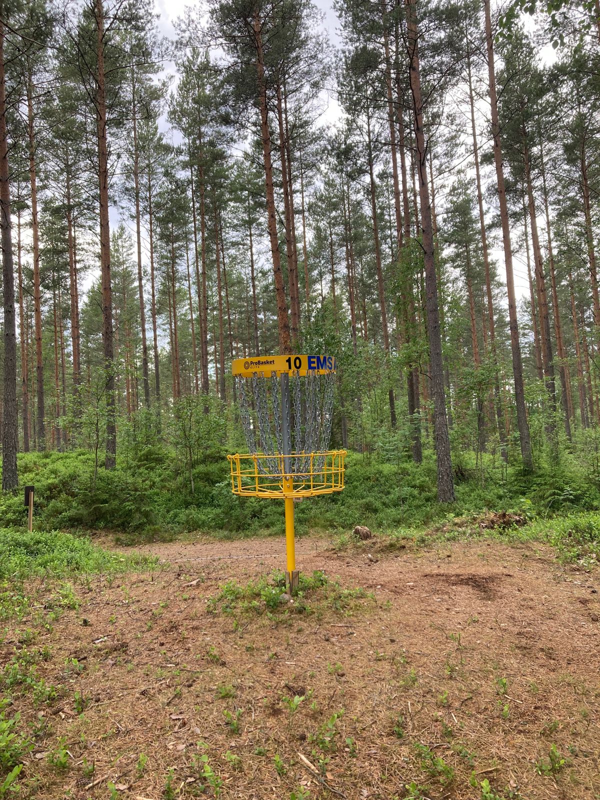 Green hål 10