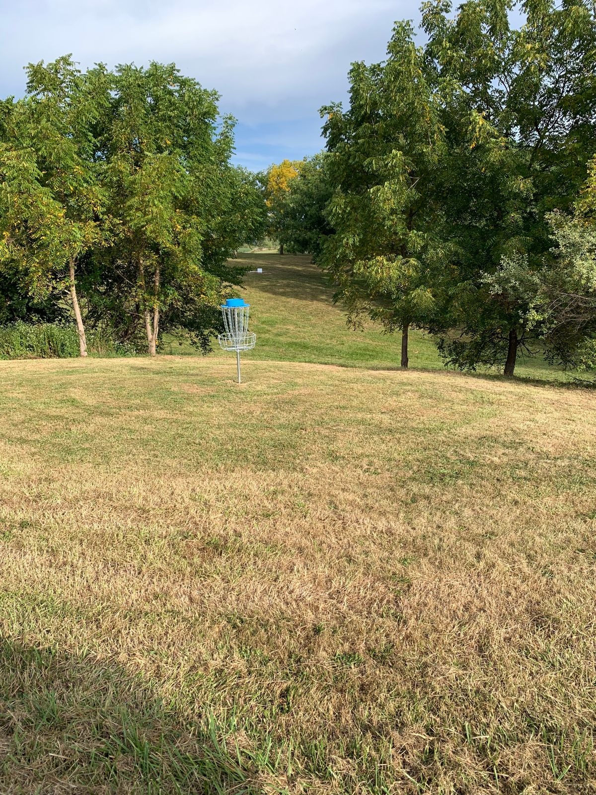 Hole 7 view behind basket