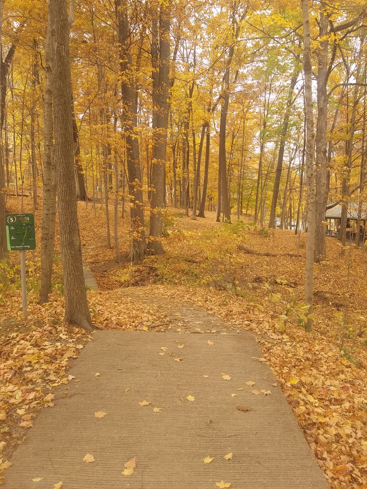 Hole 5 tee in fall