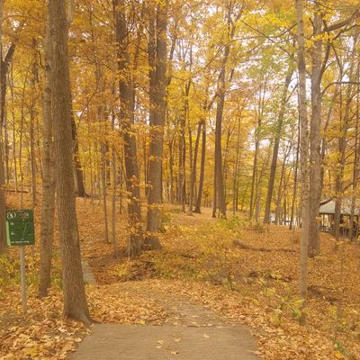 Hole 5 tee in fall