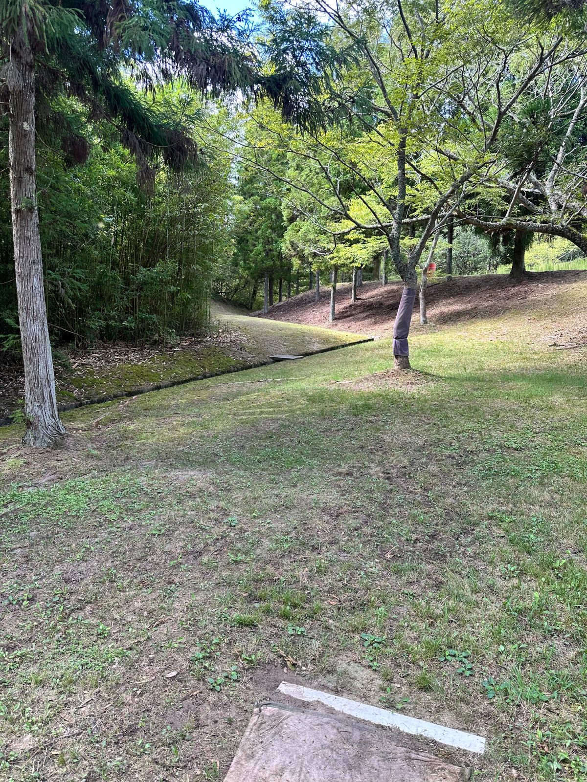 Hole 7