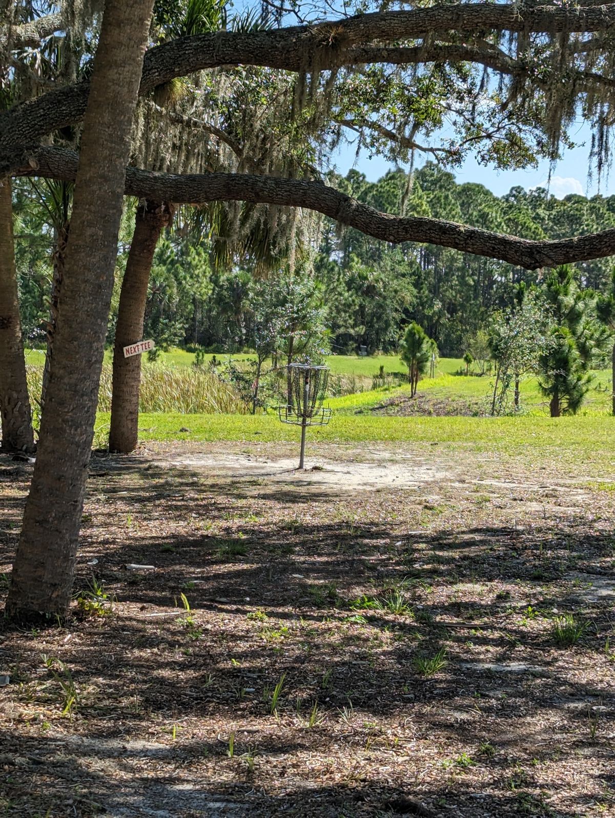 Hole 11 Short Basket