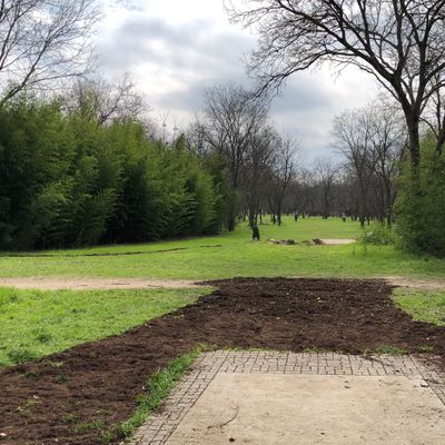 Hole 5
