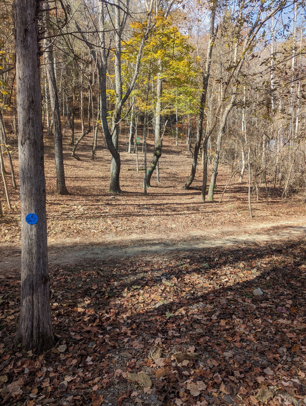 Hole #6